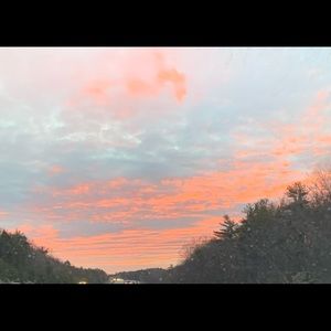 Meet your Posher, Cheyenne